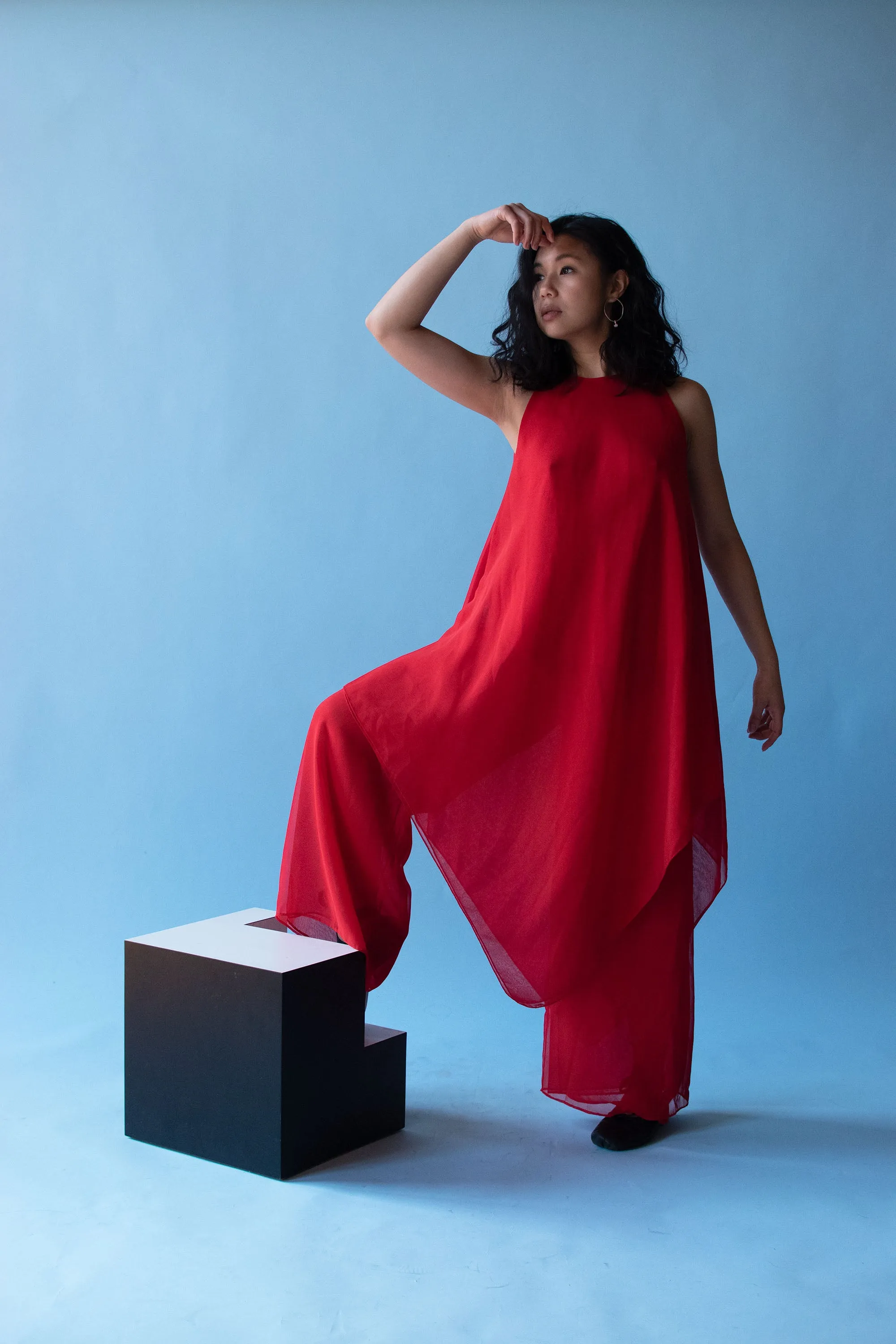 1970s Chiffon Pants Set | Albert Capraro
