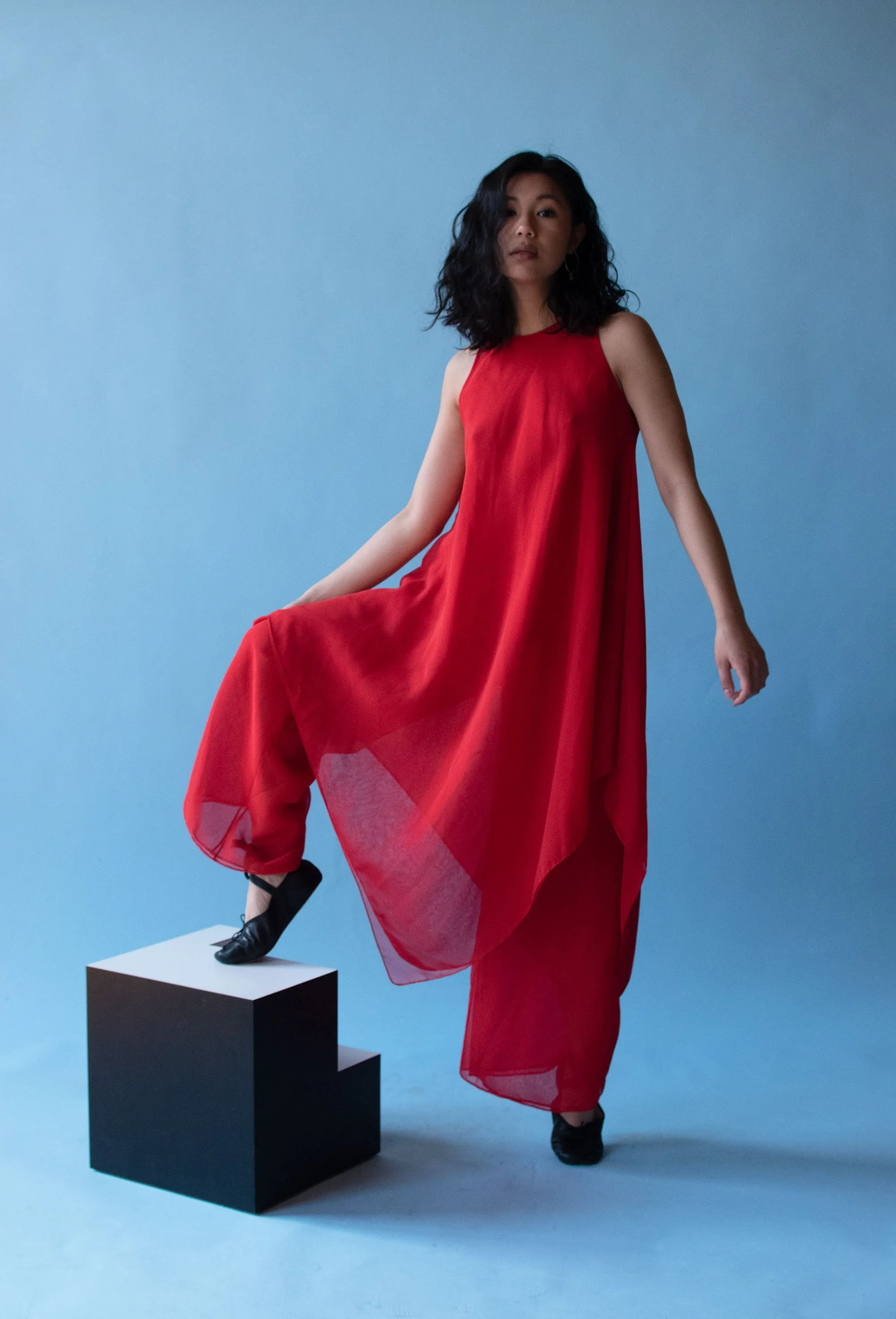 1970s Chiffon Pants Set | Albert Capraro