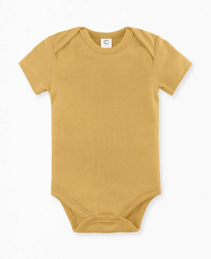Back 2 Basics BodySuits