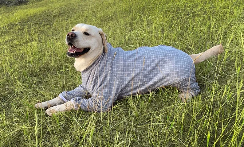 Big Dog Recovery Post Surgical Sensitive Skin Protector Thick Bodysuit