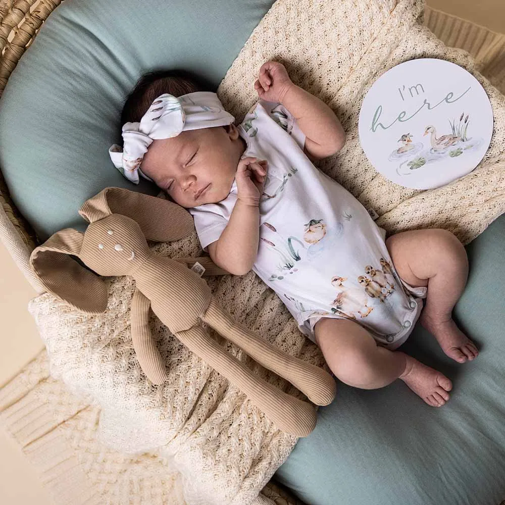 Duck Pond Short Sleeve Organic Bodysuit