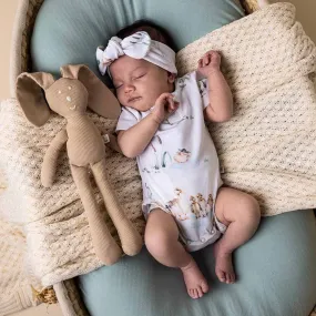 Duck Pond Short Sleeve Organic Bodysuit