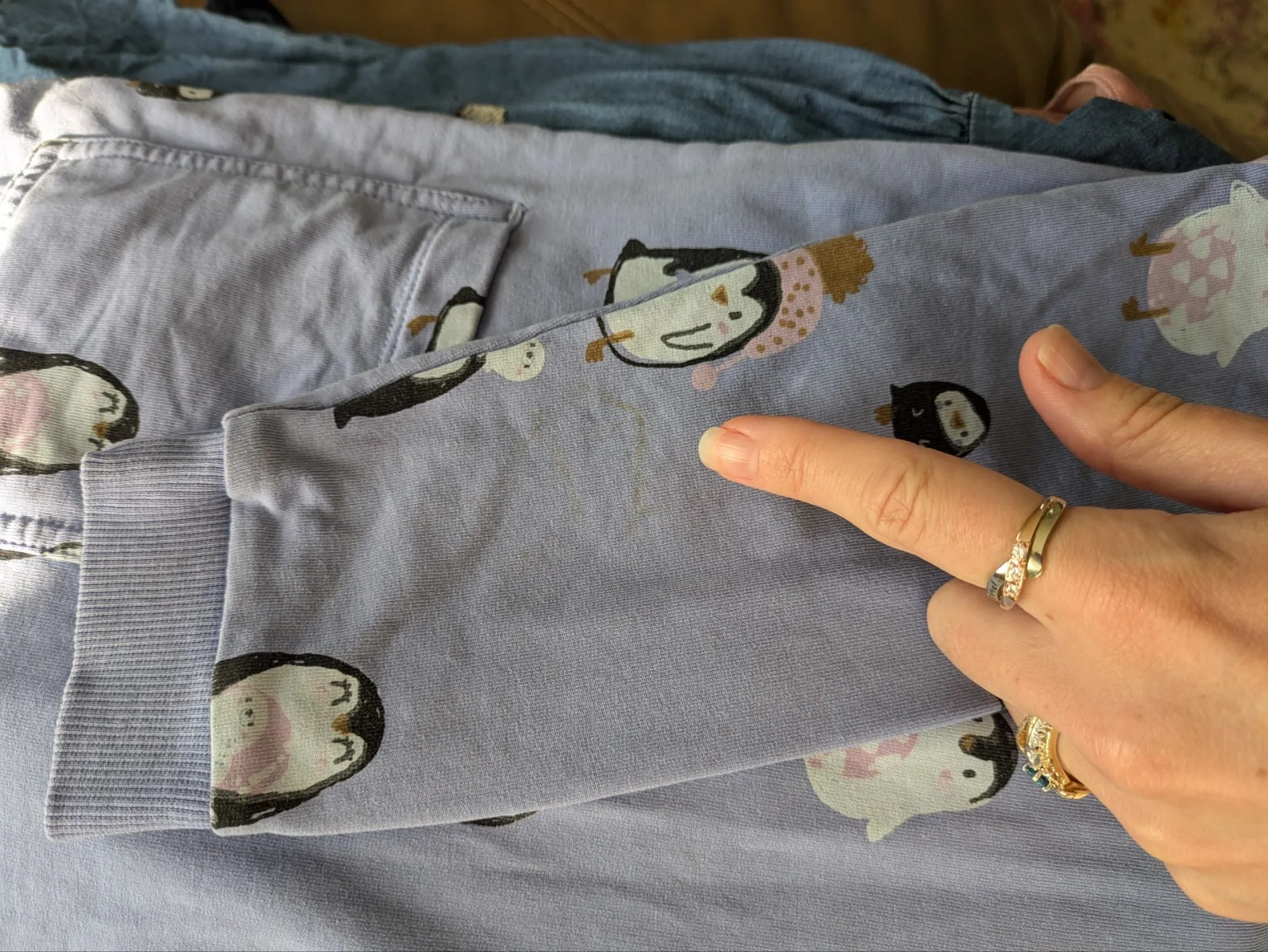 Ensembles Pingouins 5 ans