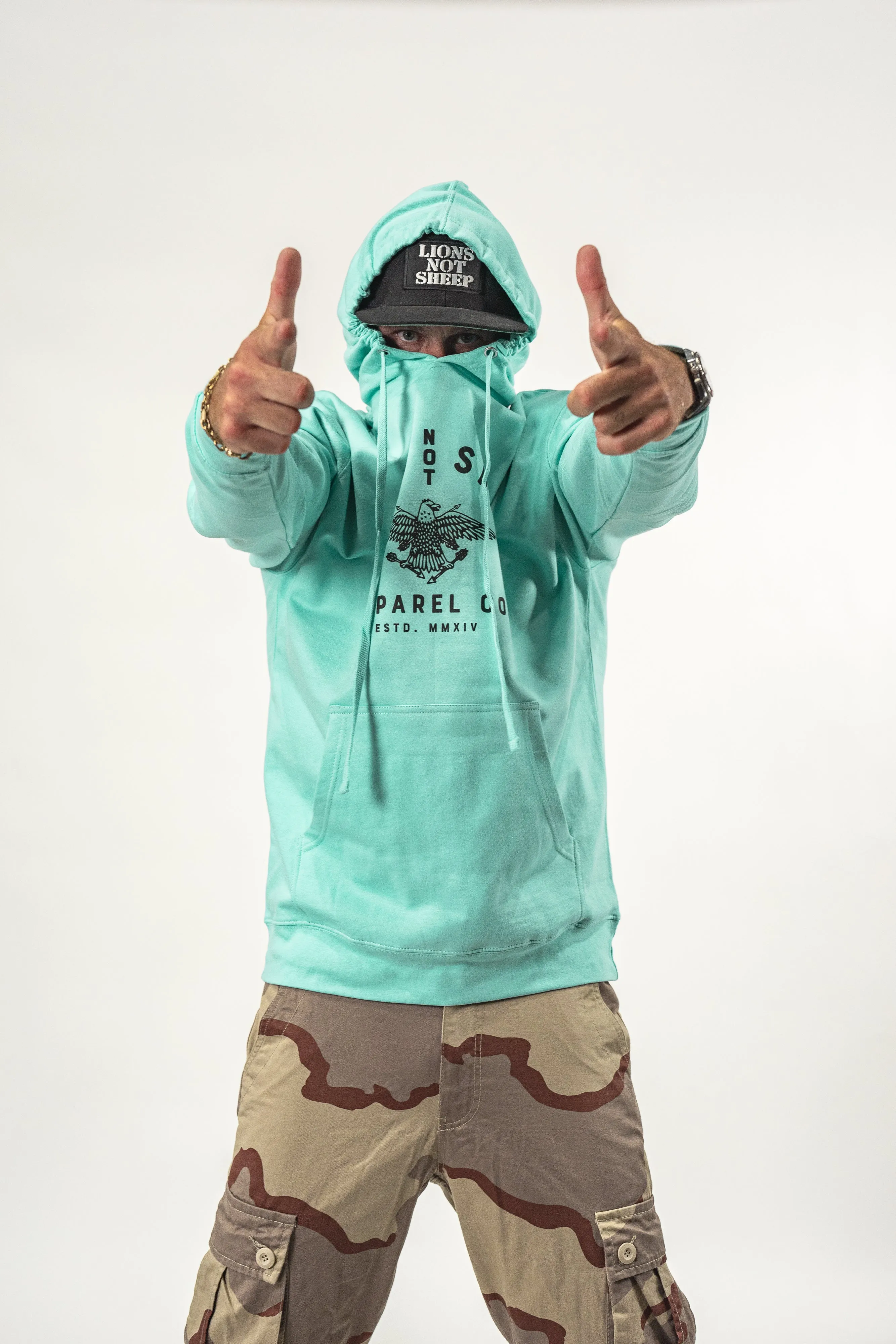 Lions Not Sheep "Vintage Eagle" Unisex Pullover Hoodie - Mint Edition