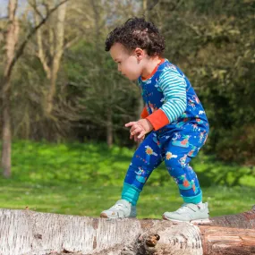 Organic Cotton Festival Fun Sleeveless Romper